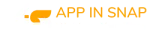 APPINSNAP company logo