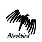 Blackbird Packaging company logo