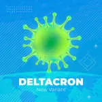 Deltacron Business Technologies company logo