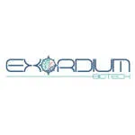 Exordium Solutions company logo