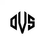 OVS company logo