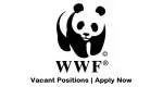 WWF Pakistan company logo