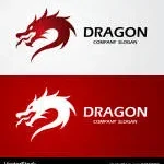 Dragon Dose company logo