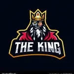 King Revolution Inc company logo