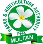 Multan home salon company logo