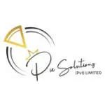 PIE Solutions (Pvt) Ltd company logo