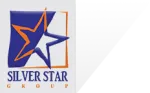 Silver Star Group company logo