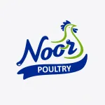 The Noor Project company logo