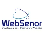 WebSenor company logo