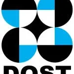 Dost Solution company logo