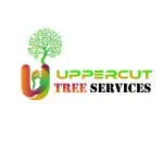 The Services Tree Enterprises company icon