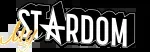 Stardom now company icon